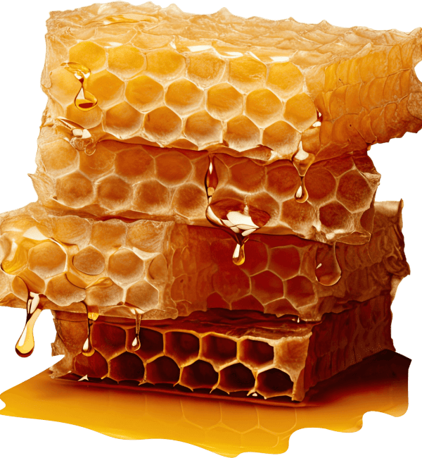 Favos de mel